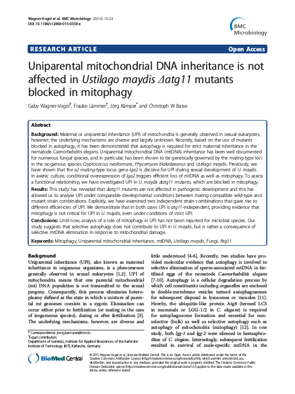 Cover der Publikation