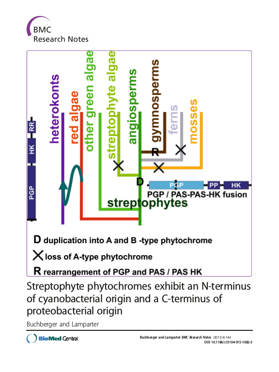 Cover der Publikation