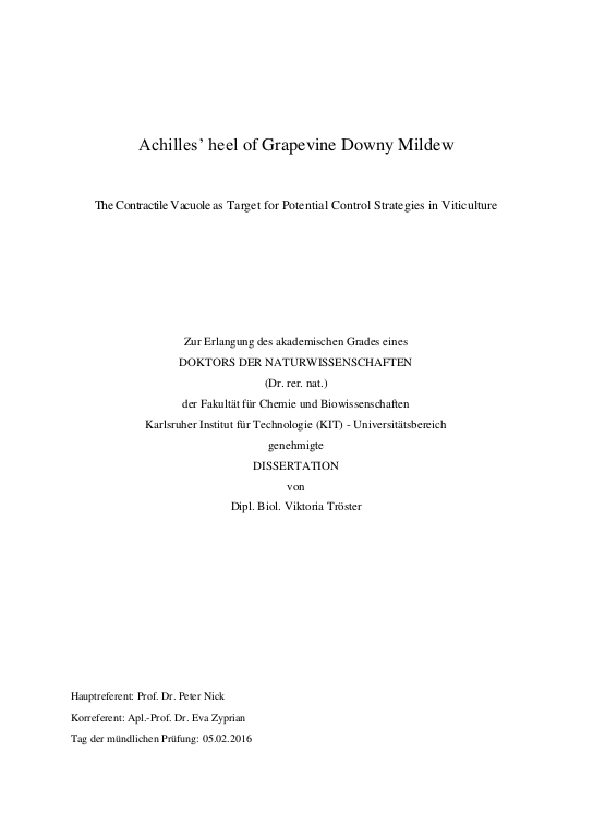 Cover der Publikation