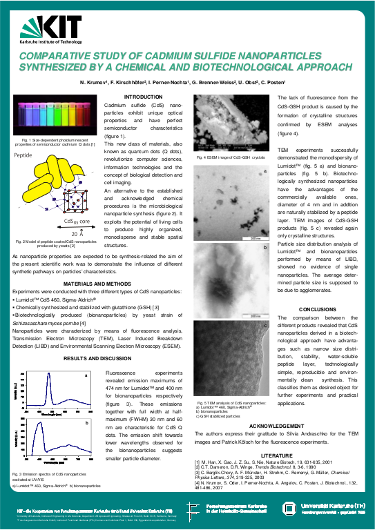 Cover der Publikation