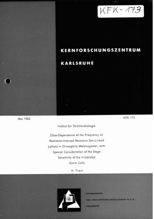 Cover der Publikation