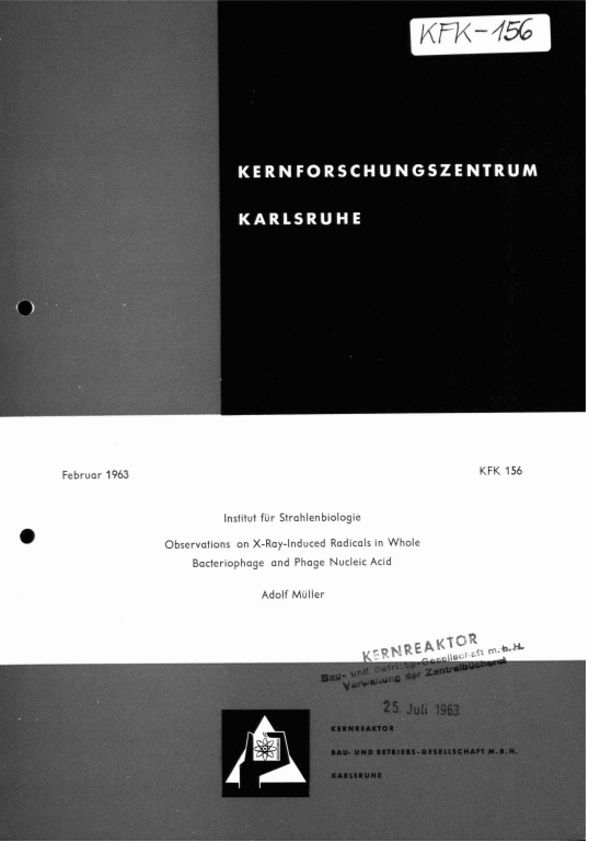 Cover der Publikation