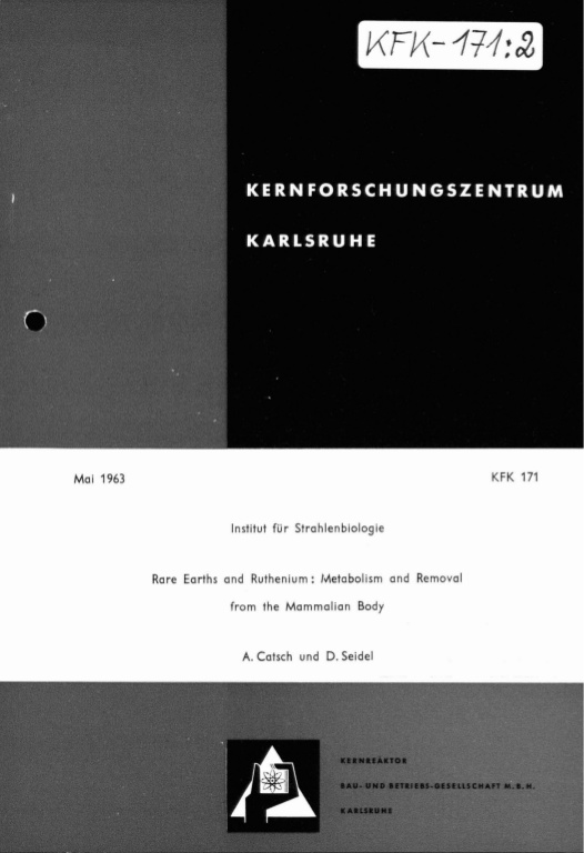 Cover der Publikation