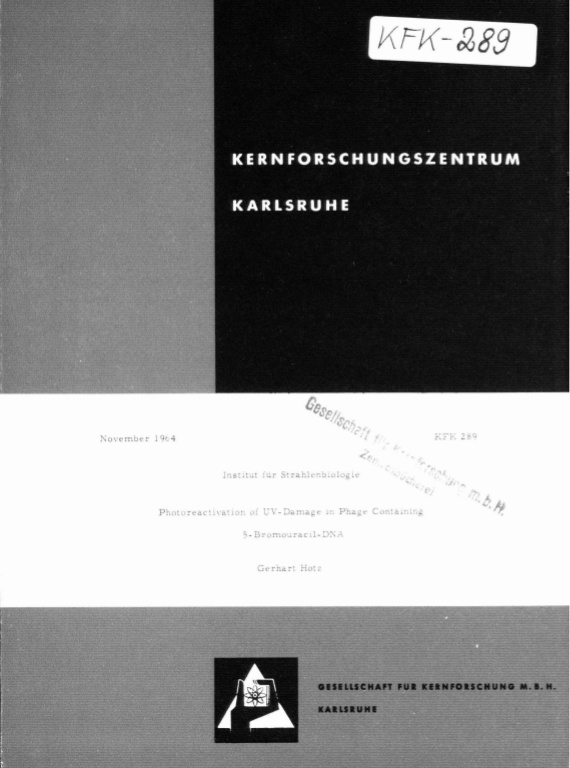 Cover der Publikation