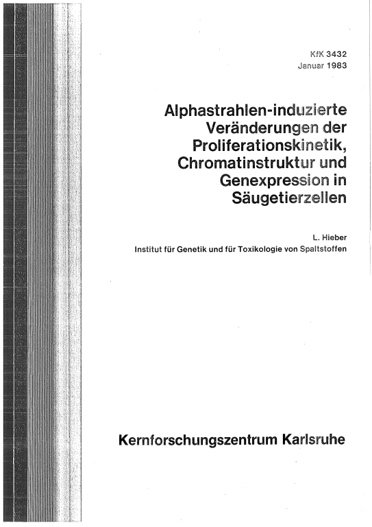 Cover der Publikation