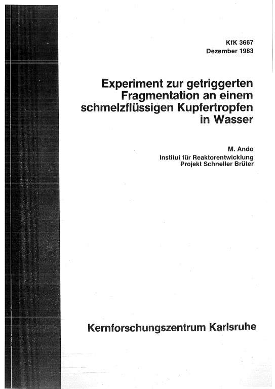 Cover der Publikation