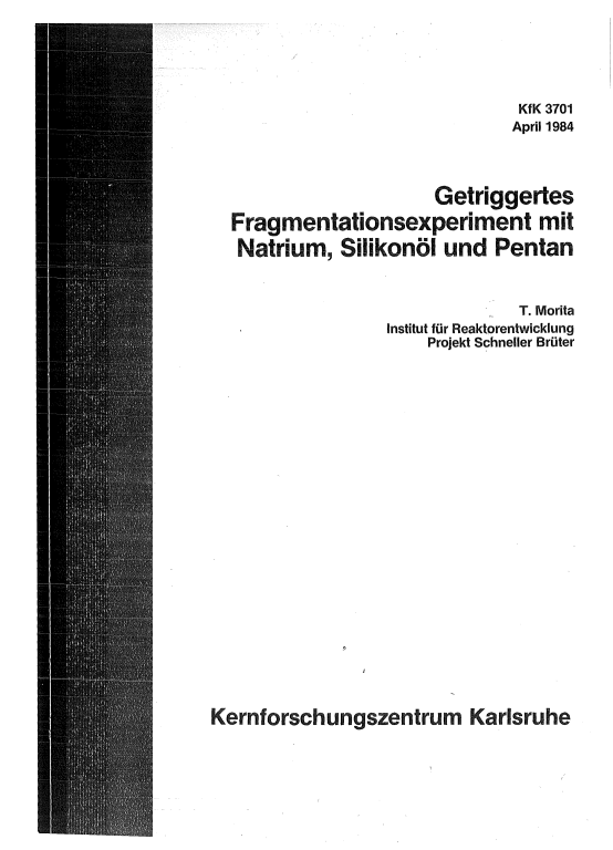 Cover der Publikation