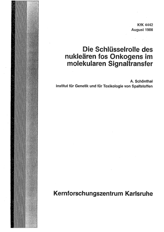 Cover der Publikation