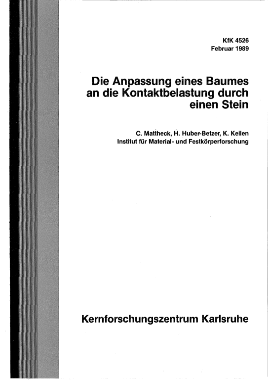 Cover der Publikation