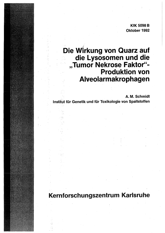 Cover der Publikation