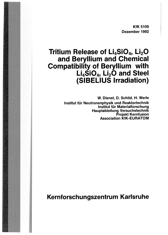 Cover der Publikation