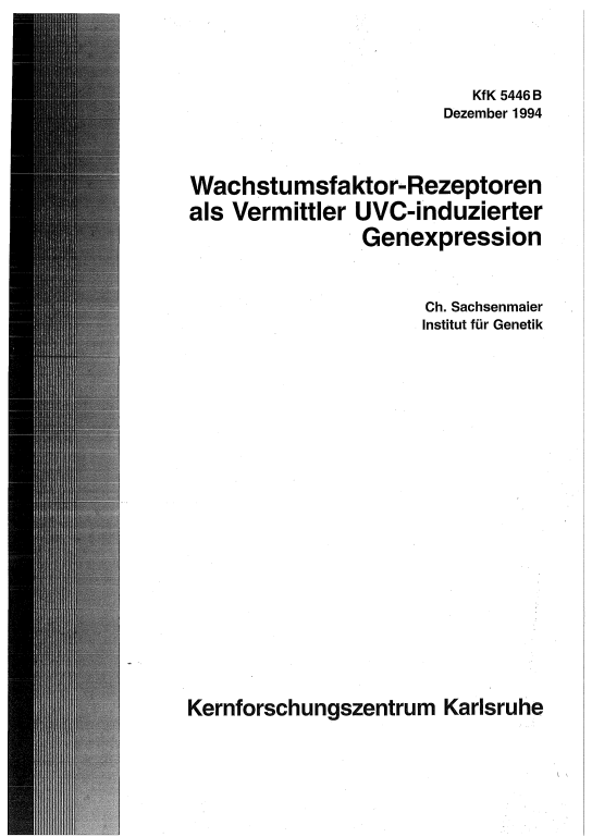 Cover der Publikation