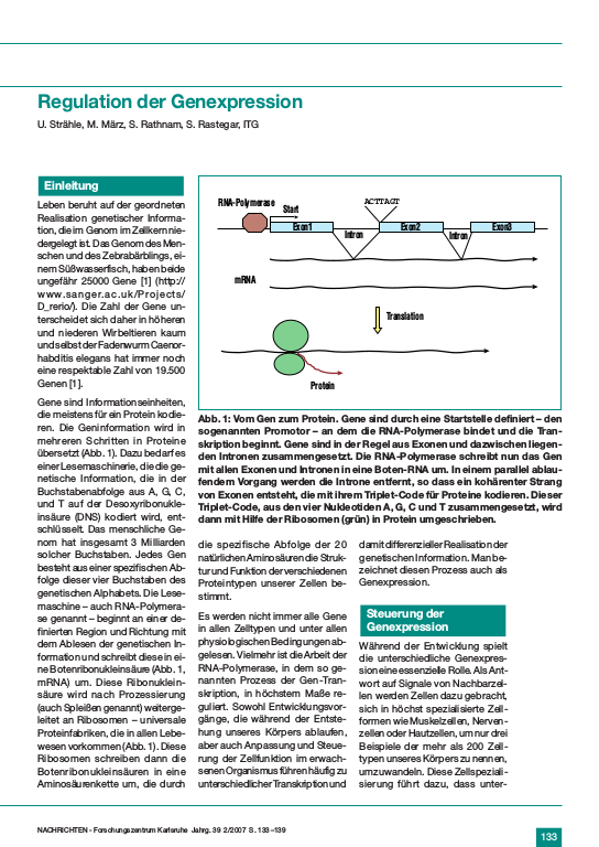 Cover der Publikation