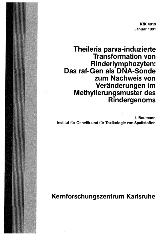 Cover der Publikation