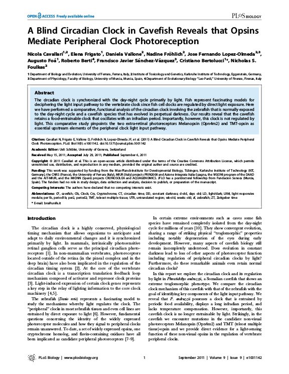 Cover der Publikation