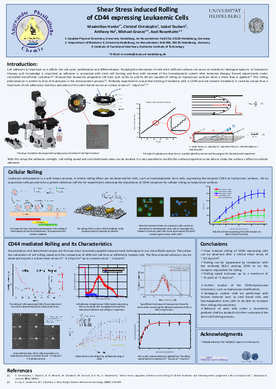 Cover der Publikation