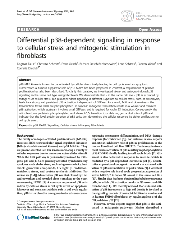 Cover der Publikation