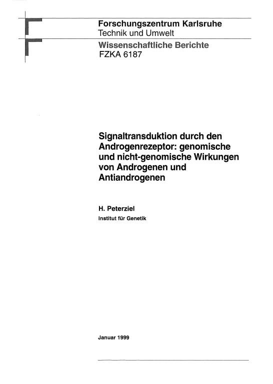 Cover der Publikation