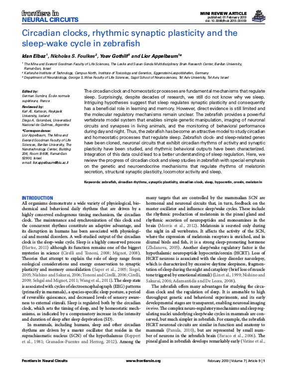 Cover der Publikation