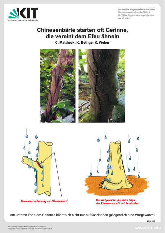 Cover der Publikation