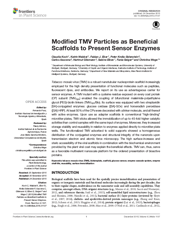 Cover der Publikation