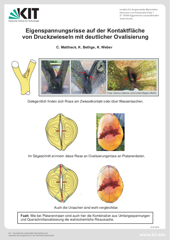 Cover der Publikation