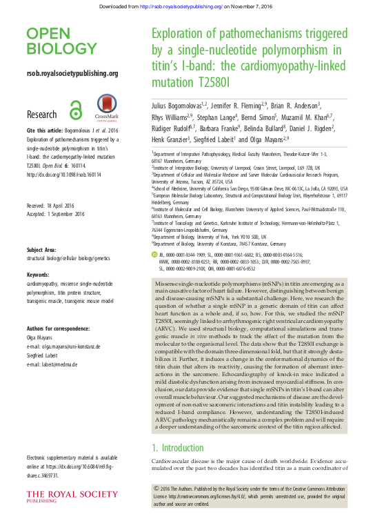 Cover der Publikation