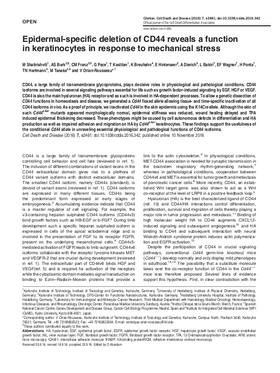 Cover der Publikation