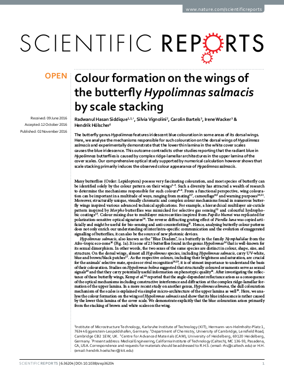 Cover der Publikation