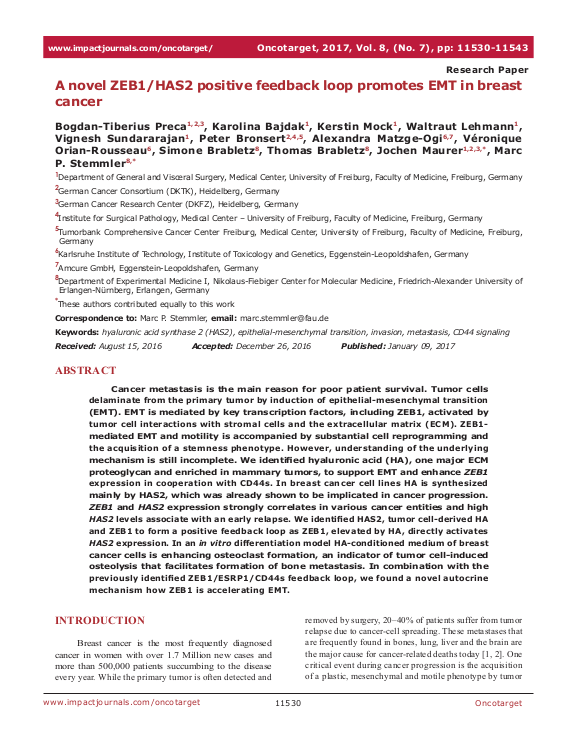 Cover der Publikation