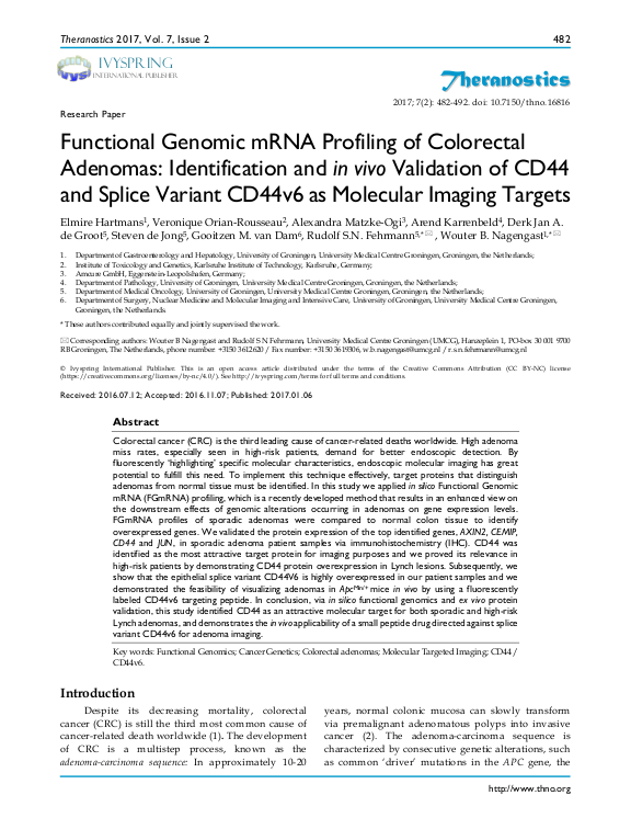 Cover der Publikation