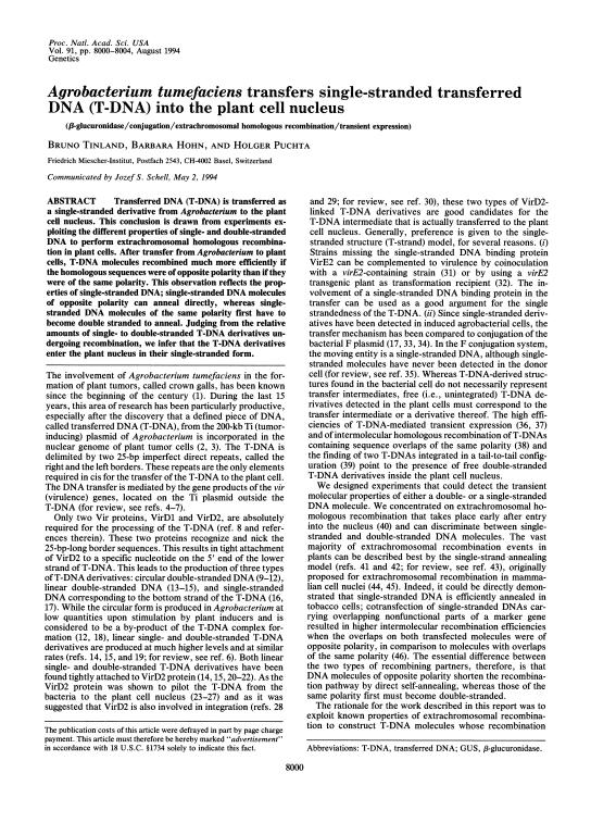 Cover der Publikation