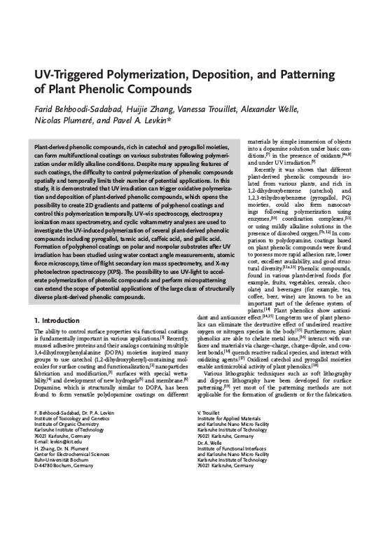 Cover der Publikation