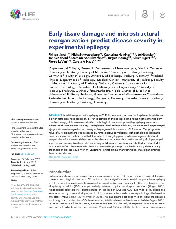 Cover der Publikation