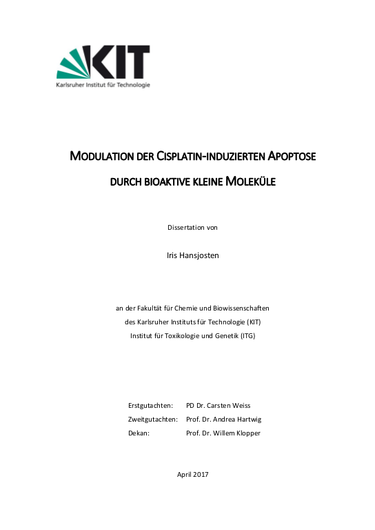 Cover der Publikation