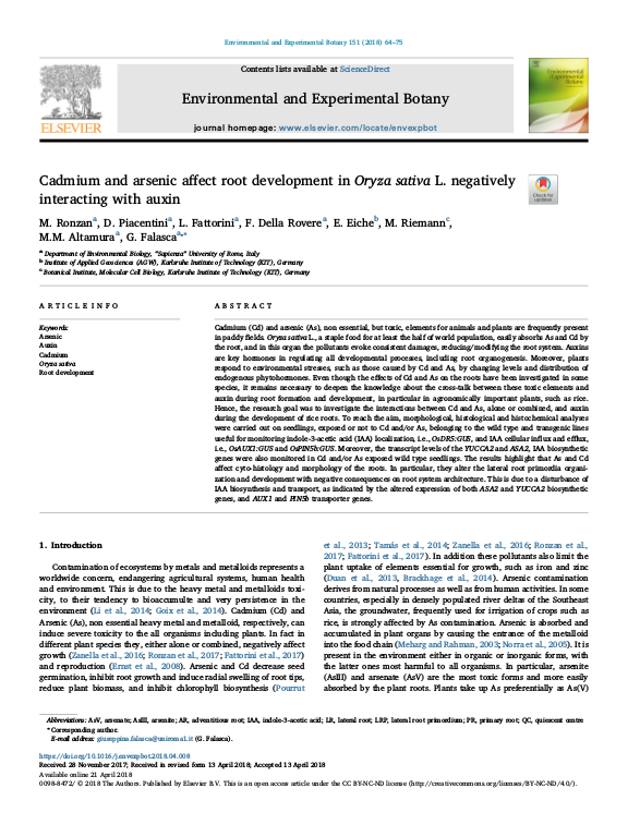 Cover der Publikation