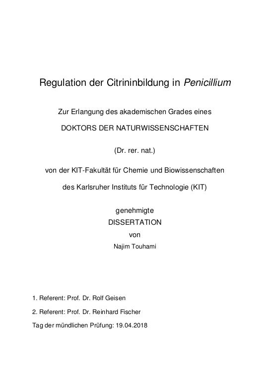 Cover der Publikation