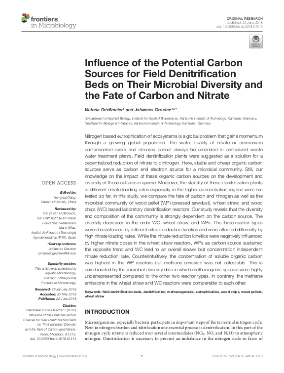 Cover der Publikation