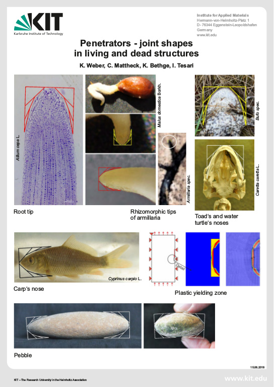 Cover der Publikation