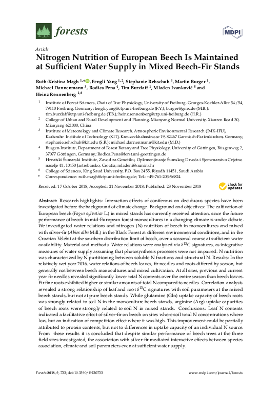 Cover der Publikation