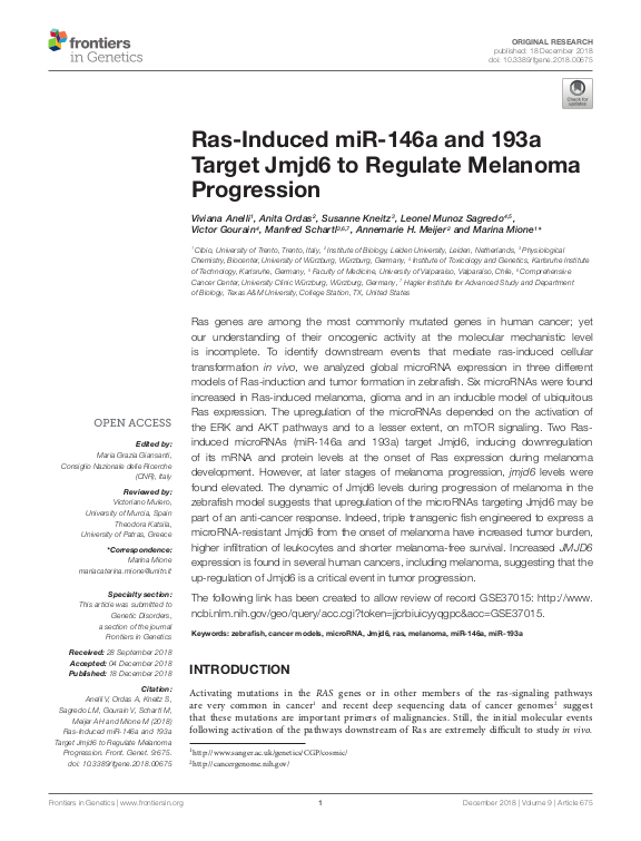 Cover der Publikation