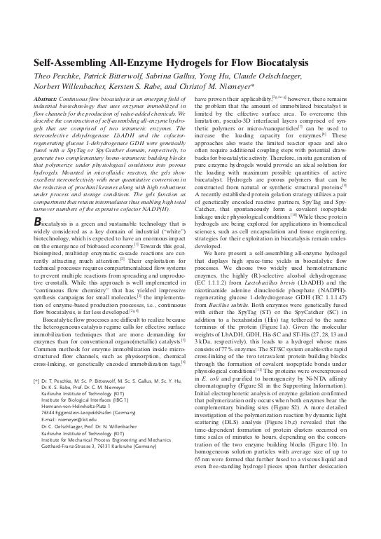 Cover der Publikation