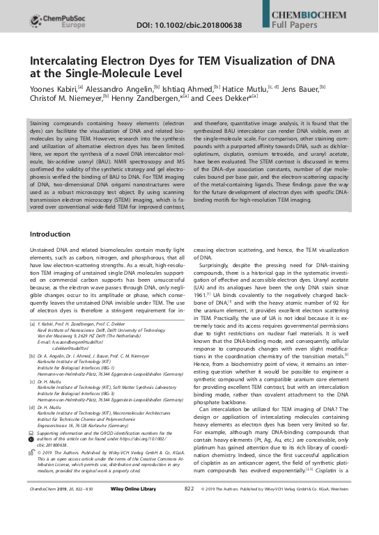 Cover der Publikation