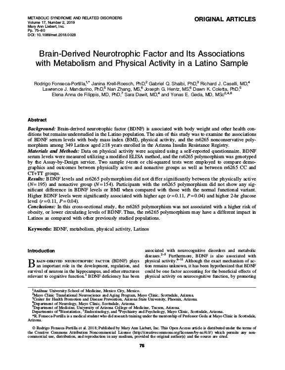 Cover der Publikation