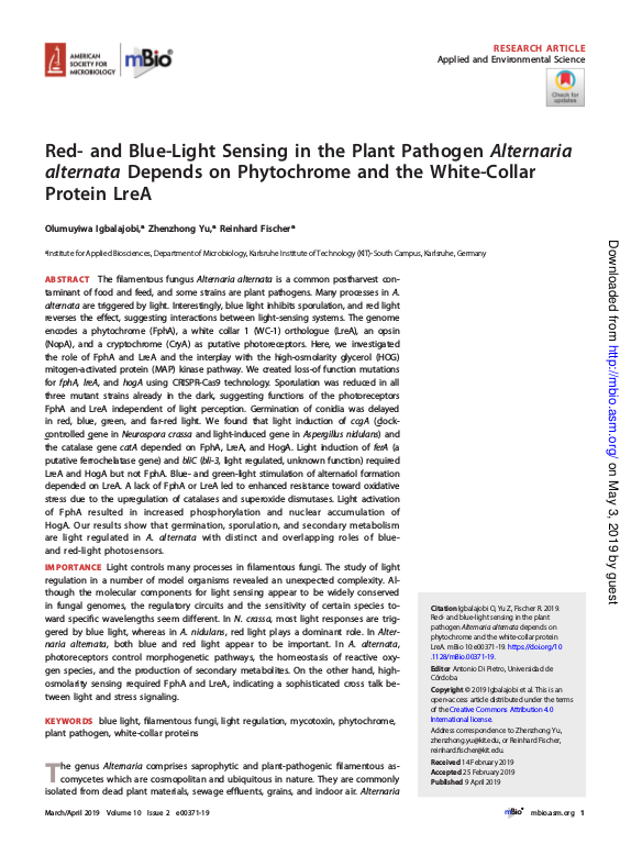 Cover der Publikation