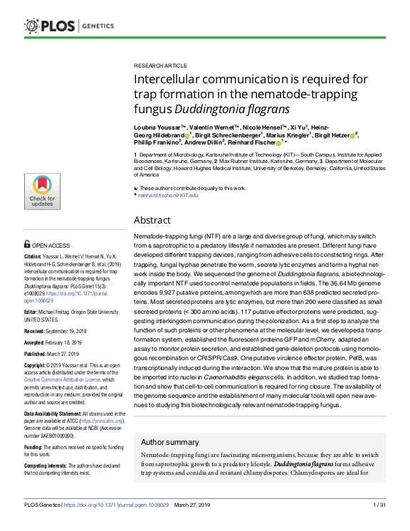 Cover der Publikation