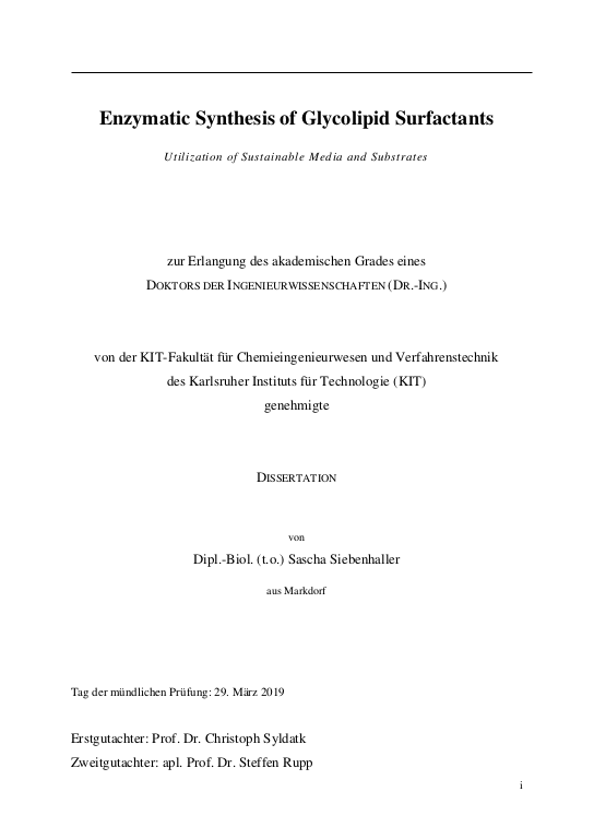 Cover der Publikation