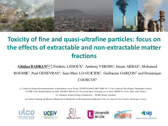 Cover der Publikation