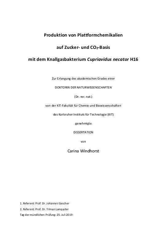 Cover der Publikation