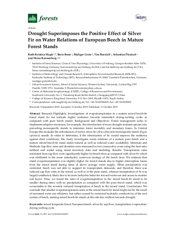 Cover der Publikation